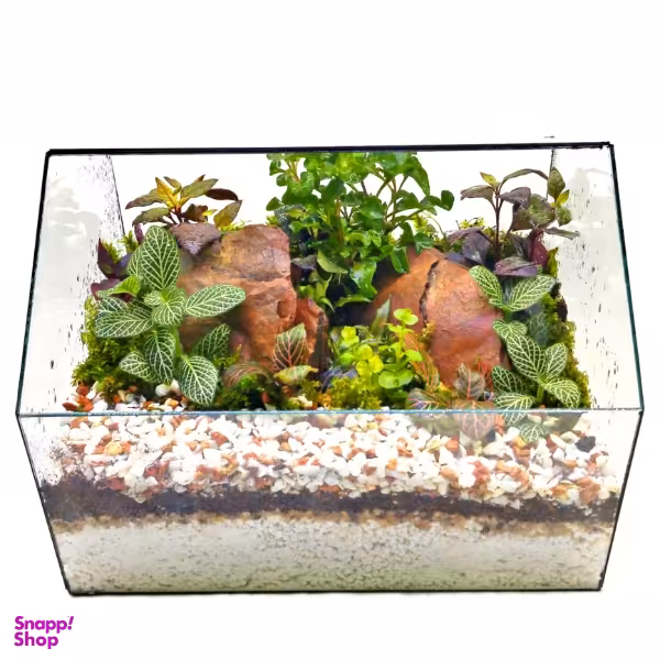 تراریوم مدل جاوا