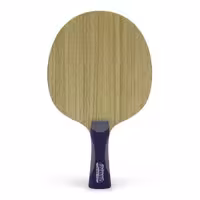 چوب راکت دونیک PERSON CARBOTEC