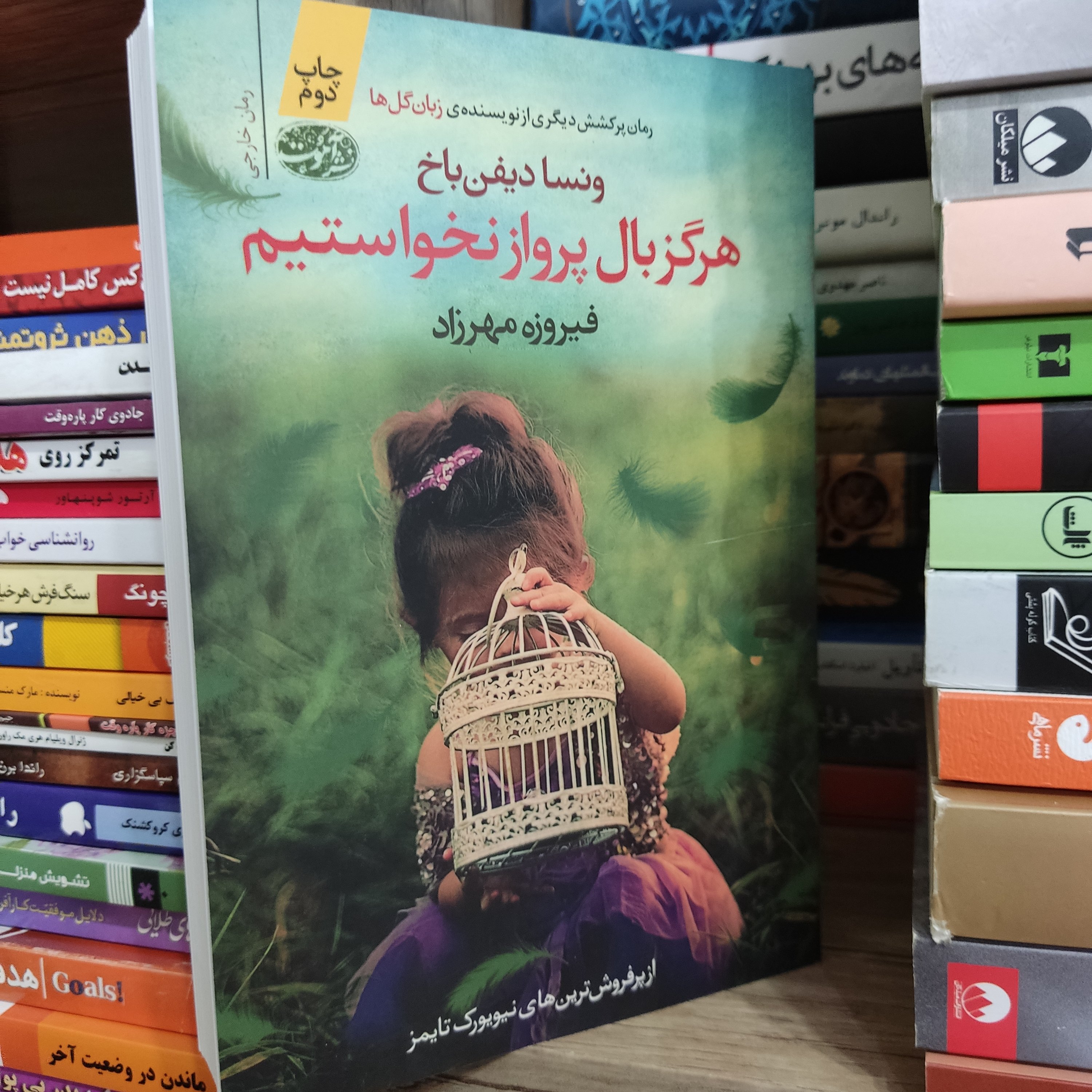 کتاب هرگز بال پرواز نخواستیم اثر ونسا دیفن باخ - نشر آموت