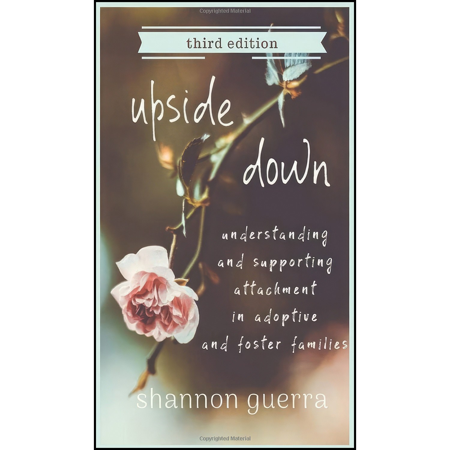 کتاب زبان اصلی Upside Down اثر Shannon Guerra