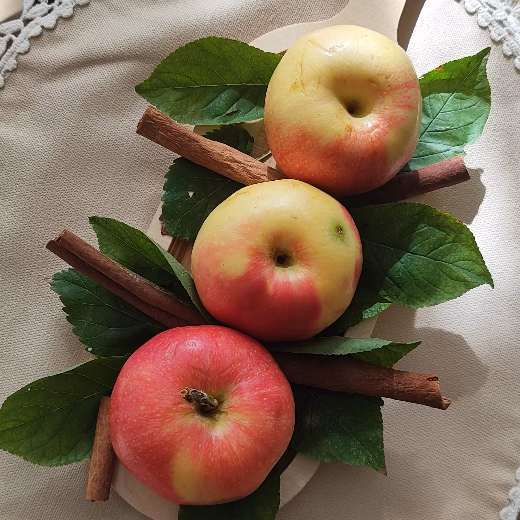 رومیزی جلو مبلی وعسلی آستردار هازان 