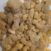 کندر تلخ اعلا