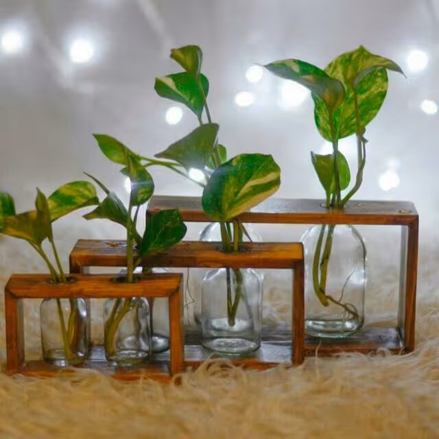 گلدان های رومیزی مجموعه سه عددی به همراه هدیه