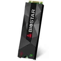 حافظه اس اس دی بایوستار مدل ام 500 با ظرفیت 256 گیگابایت