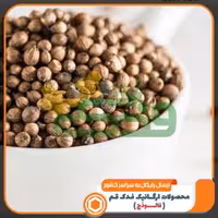 تخم گشنیز 5ستاره فدک