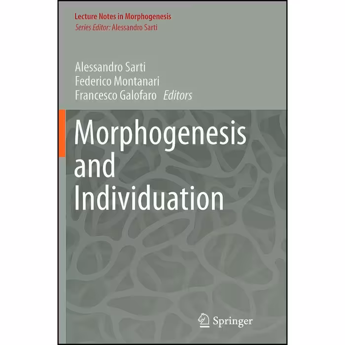 کتاب زبان اصلی Morphogenesis and Individuation  انتشارات Springer