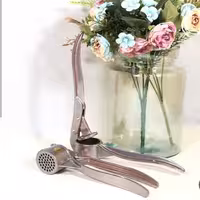 سیرکوب استیل اعلاء عروس