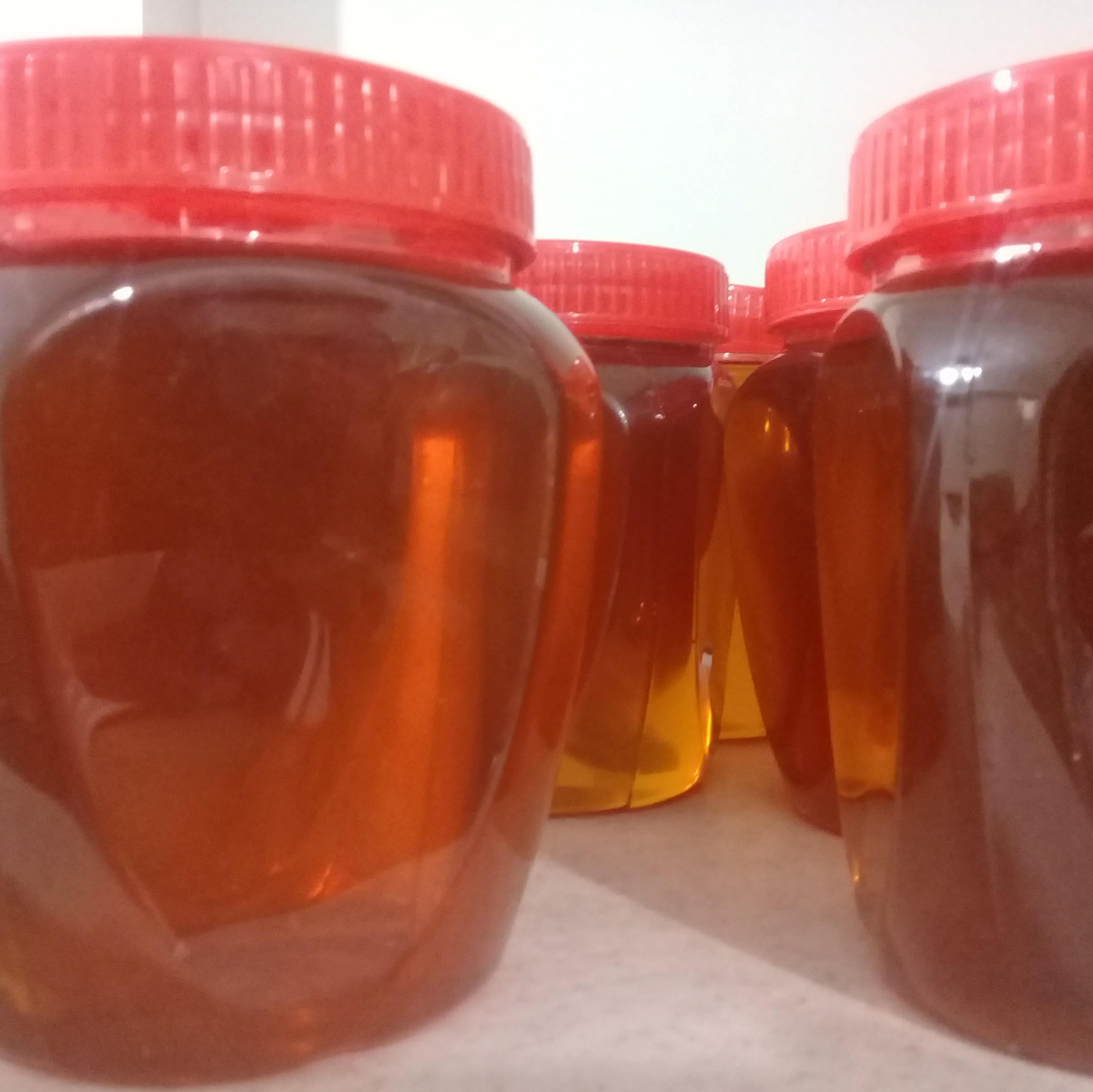 عسل طبیعی کردستان