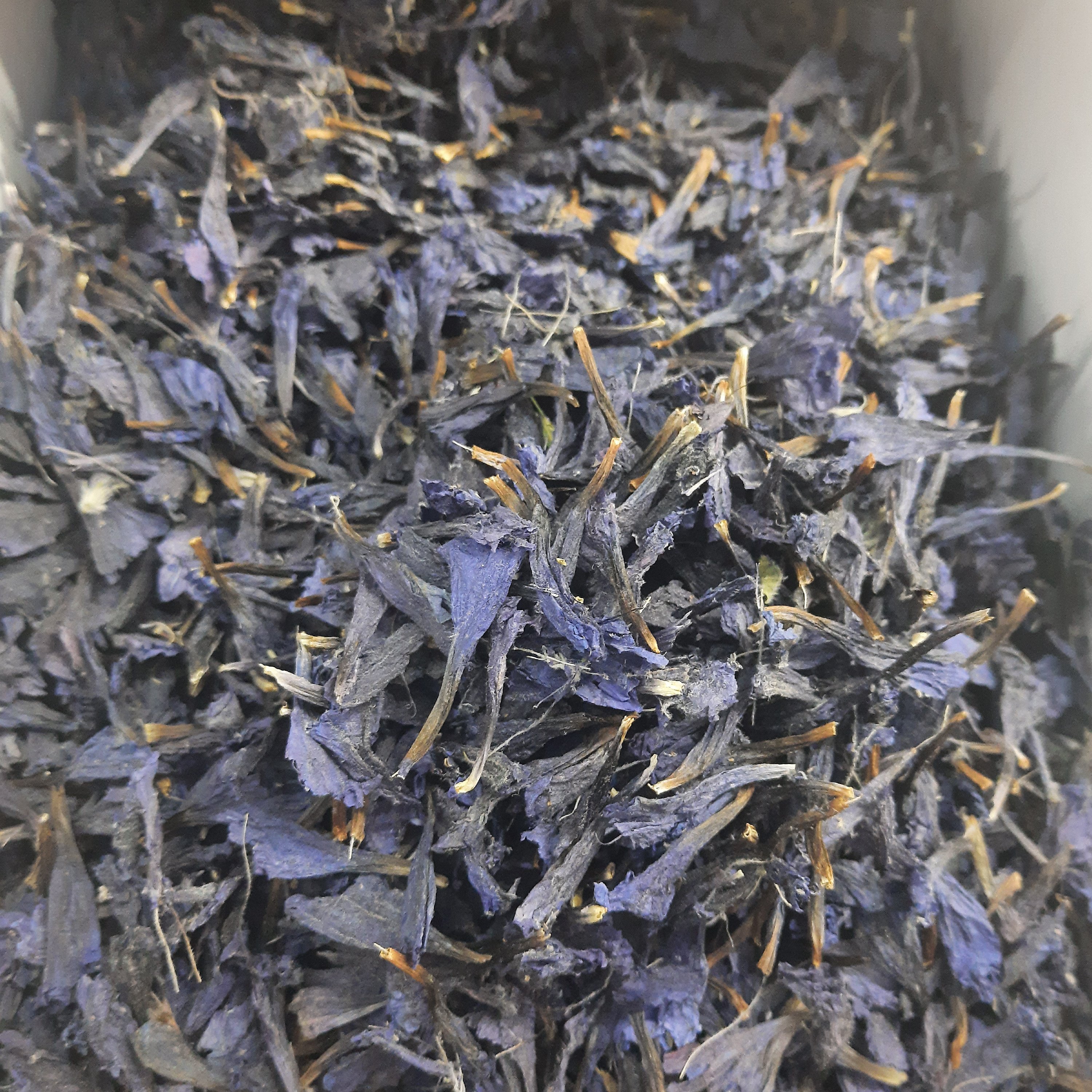 گل گاوزبان