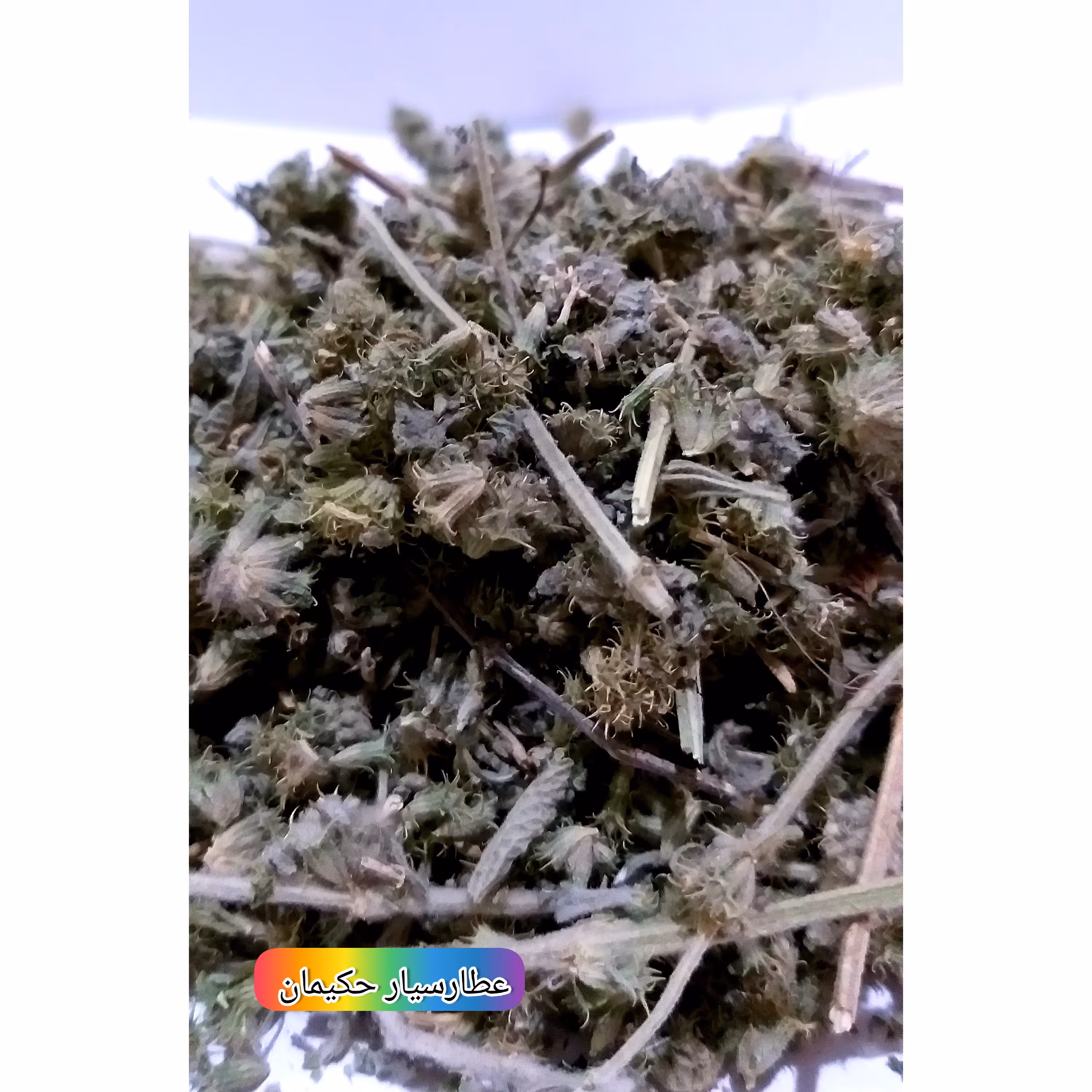 گیاه فراسیون (400 گرمی) پاکسازی رحم، رفع سرماخوردگی