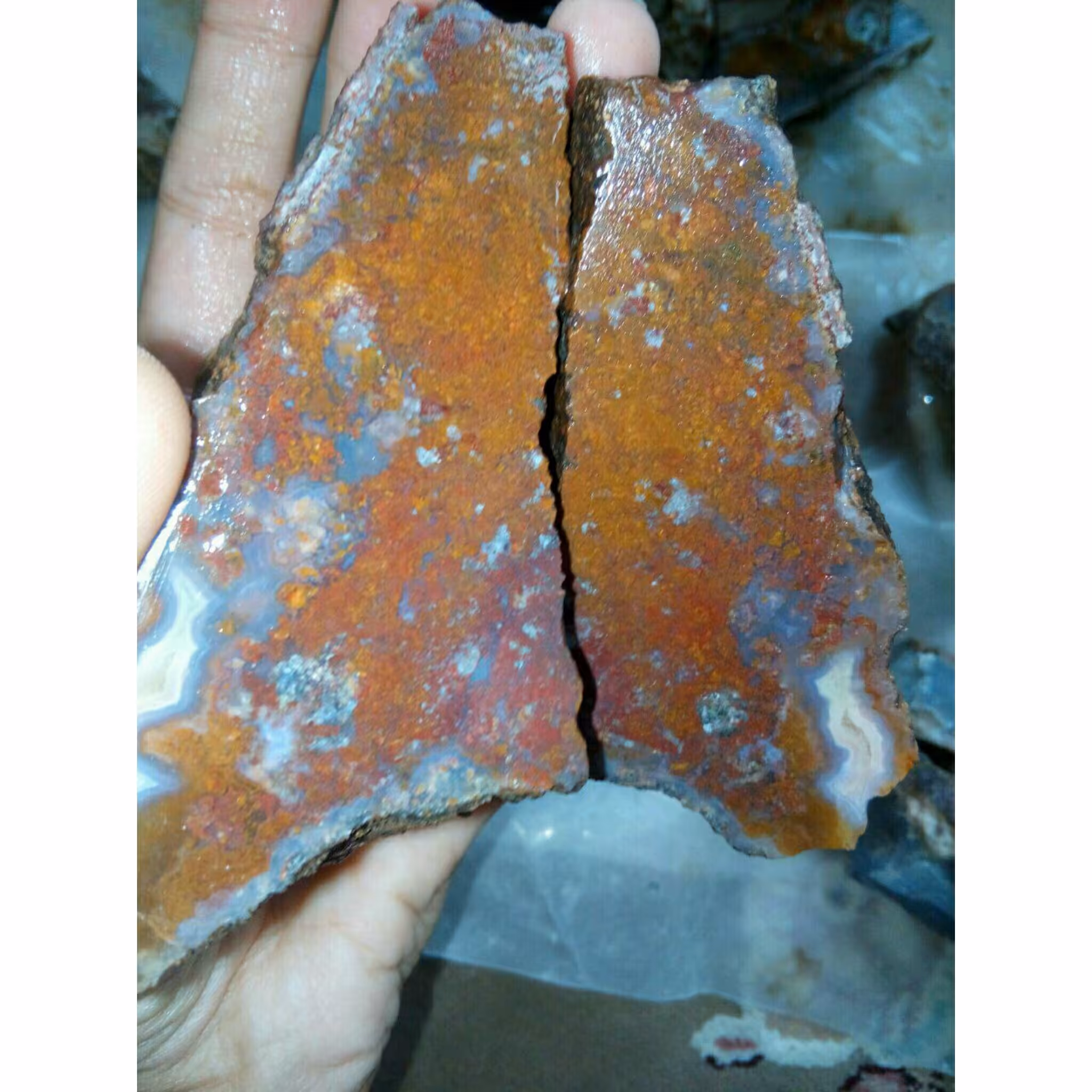 راف بسیار زیبای شجر منظره مختص تراش نگین های بسیار زیبا و کلکسیون