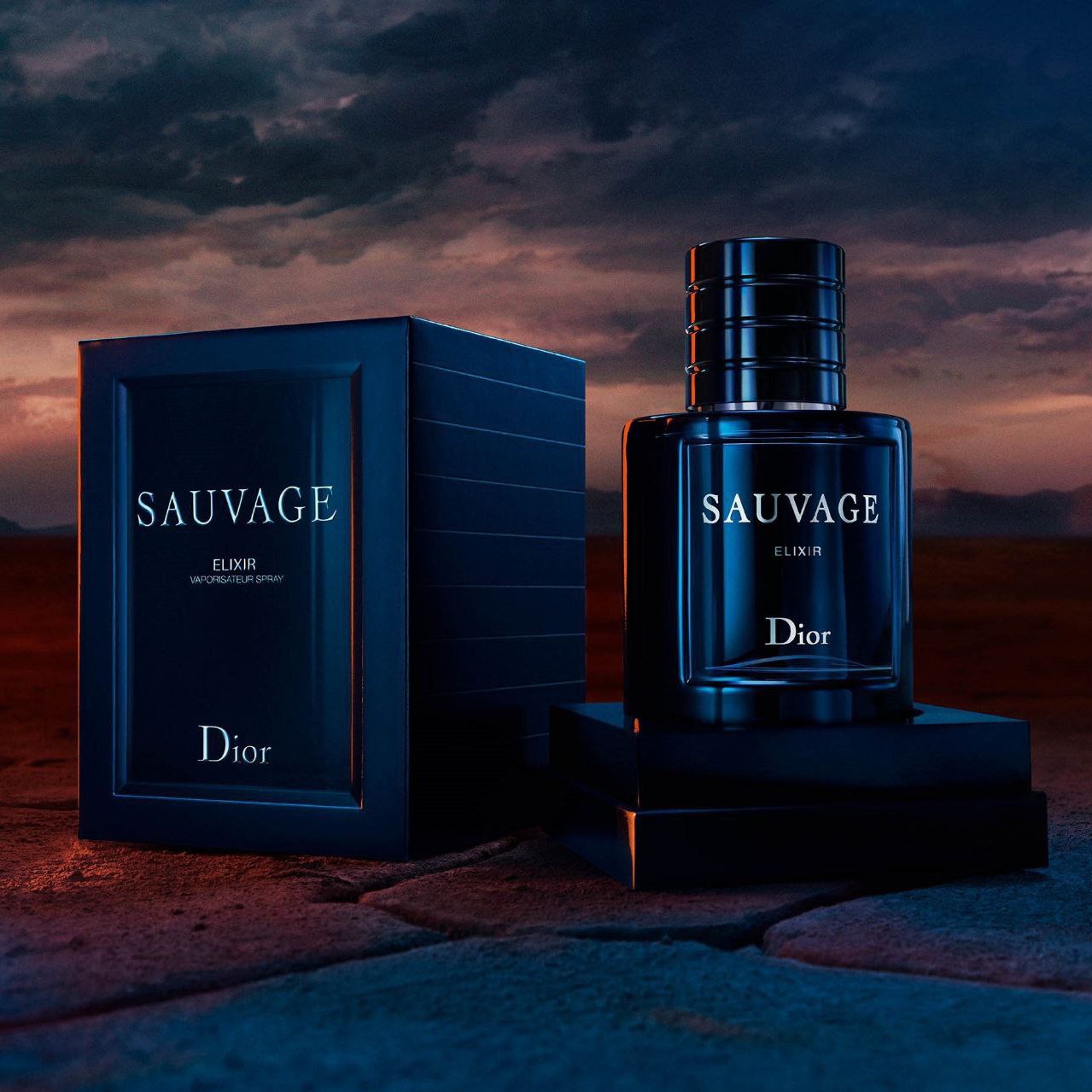 عطر ادکلن دیور ساواج الکسیر مناسب آقایان مناسب همه فصول طبع ملایم تلخ
