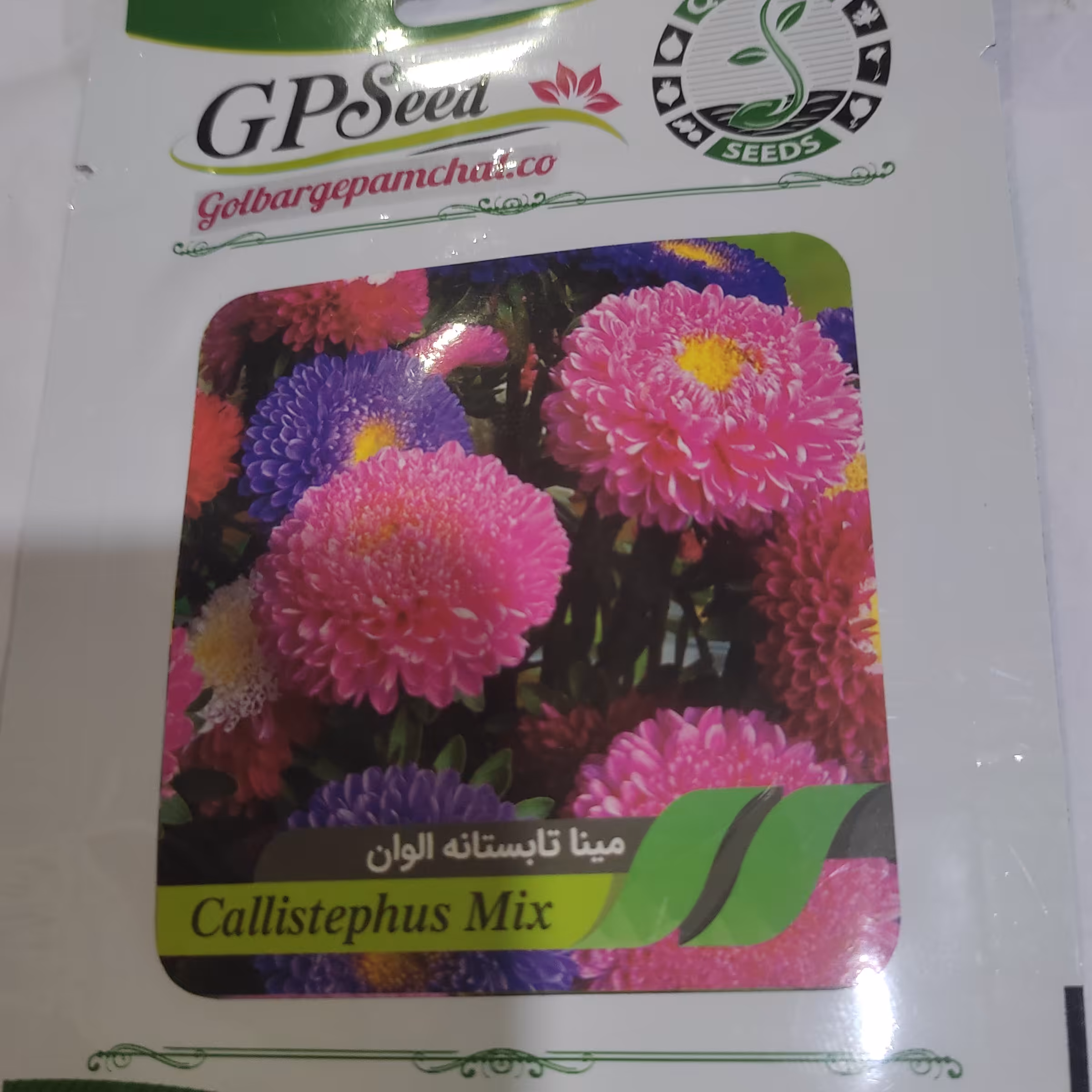 بذر گل مینا تابستانه الوان شرکتی 