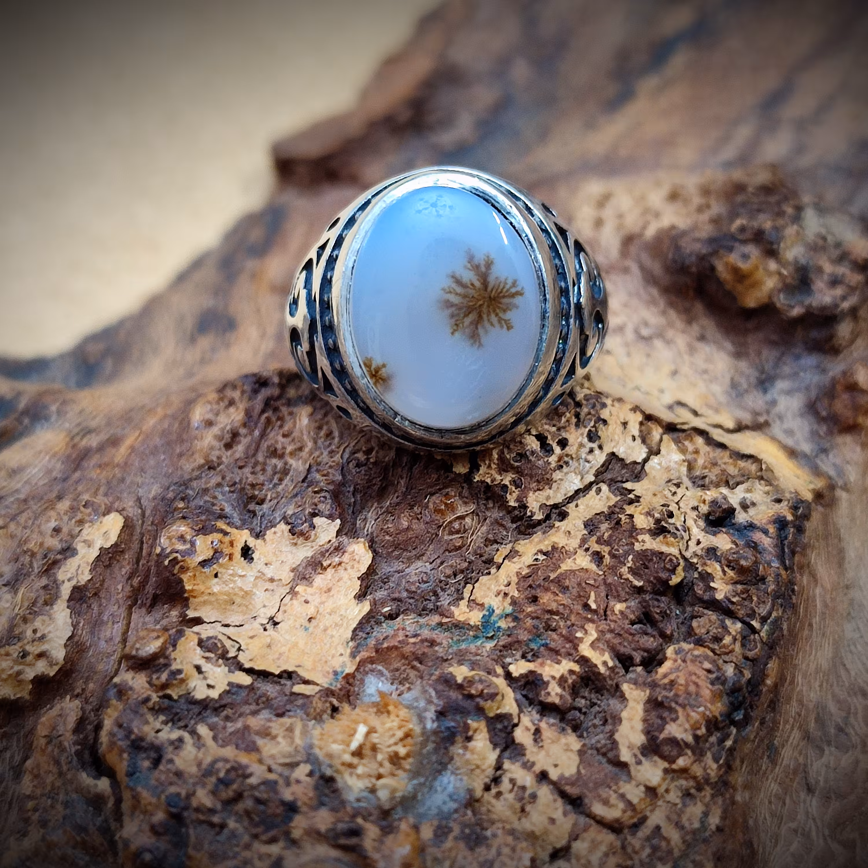 انگشتر نقره مردانه با نگین عقیق شجر اصیل و طبیعی کد 1301