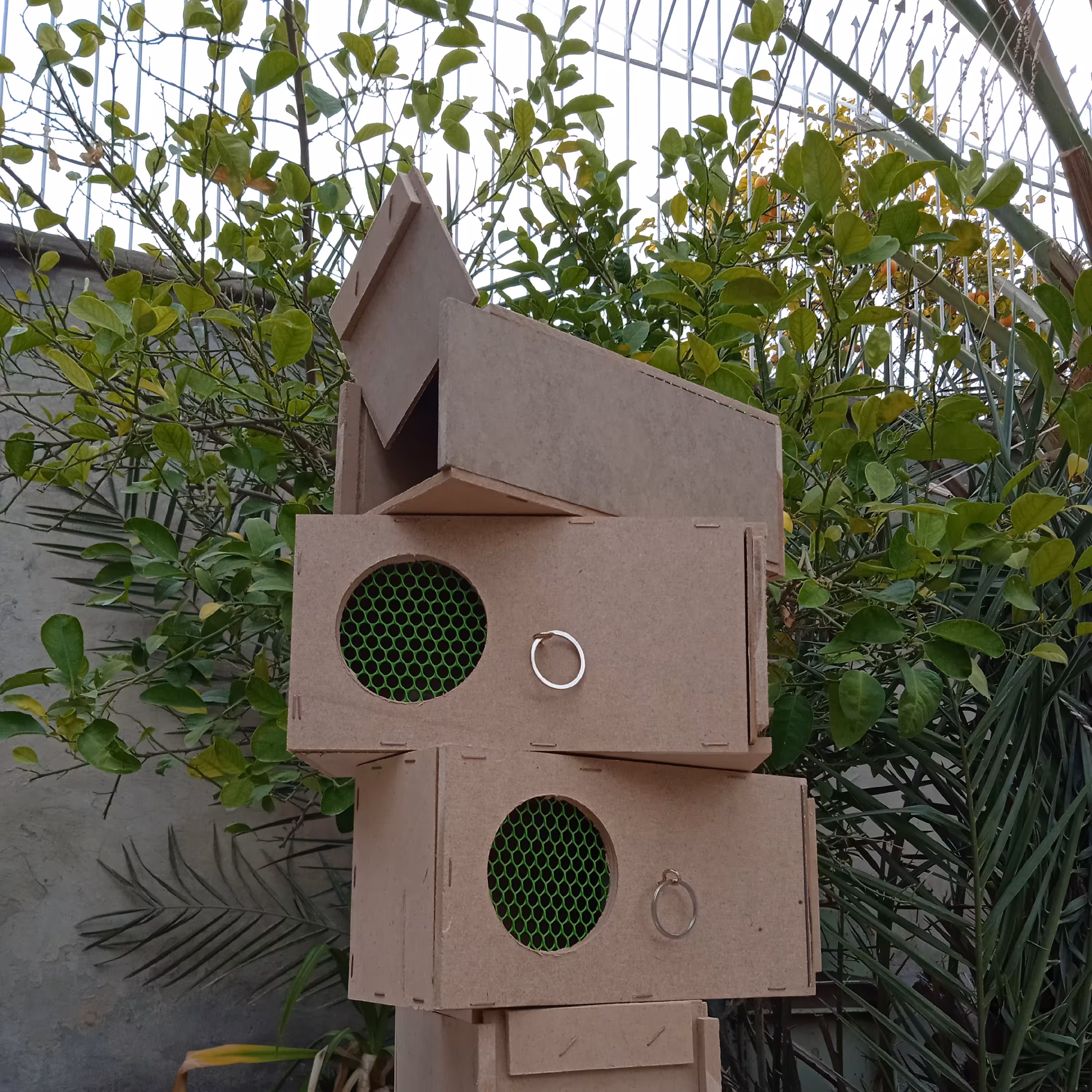 باکس حمل پرنده چهار عددی