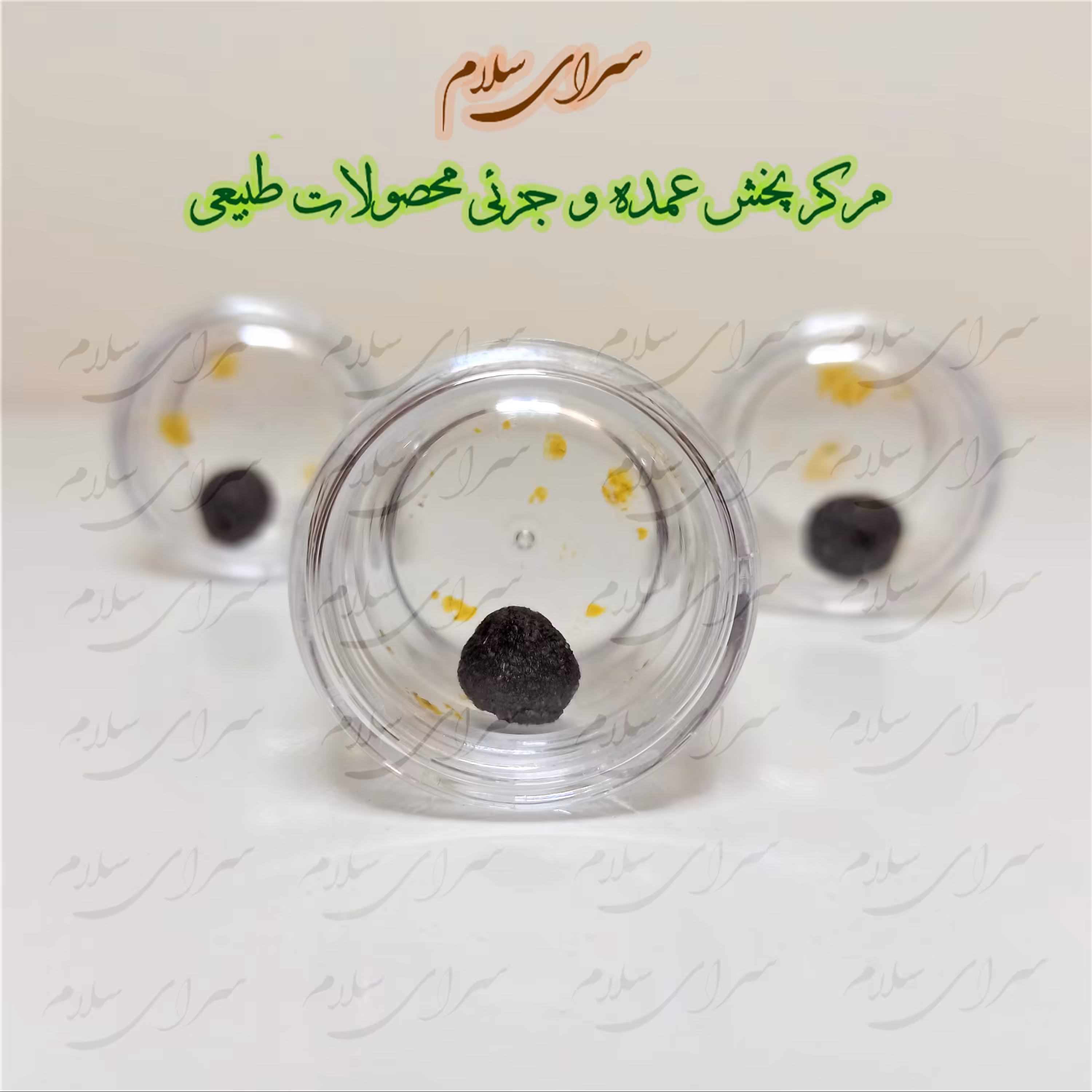 جامع امام رضا ع سه عددی اعلا 