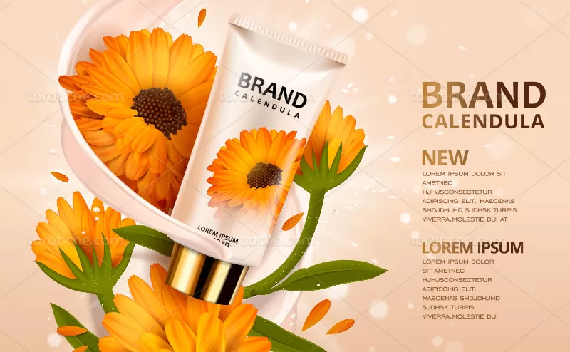 وکتور تبلیغات کرم آرایشی آفتاب گردان | گرافیک با طعم تربچه