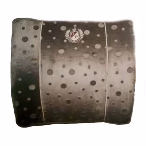 پشتی طبی درمان پژوه مموری