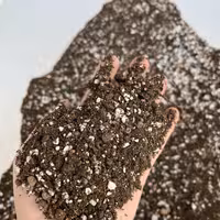 خاک تخصصی کاکتوس مخصوص انواع کاکتوس و ساکولنت