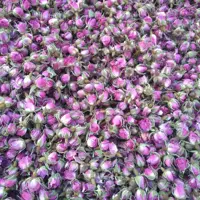 غنچه گل محمدی اعلاء  ( یک سیر)