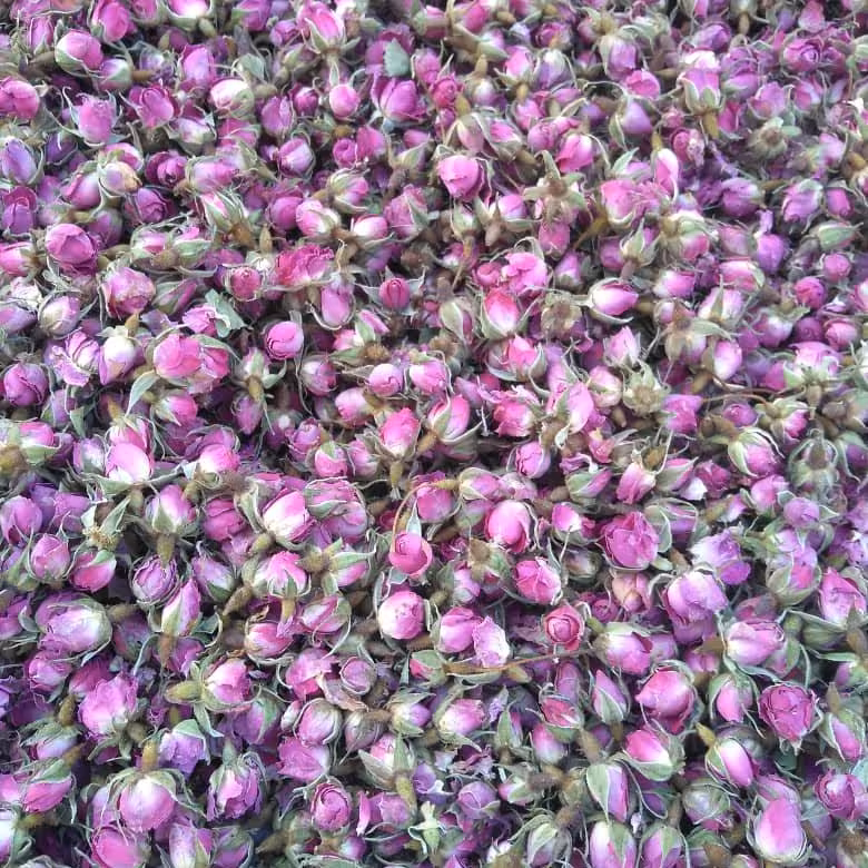 غنچه گل محمدی اعلاء  ( یک سیر)