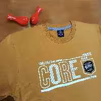 تیشرت مردانه طرح CORE  دارای رنگبندی، سایز 2XL (عرض سینه 55، قد 74)