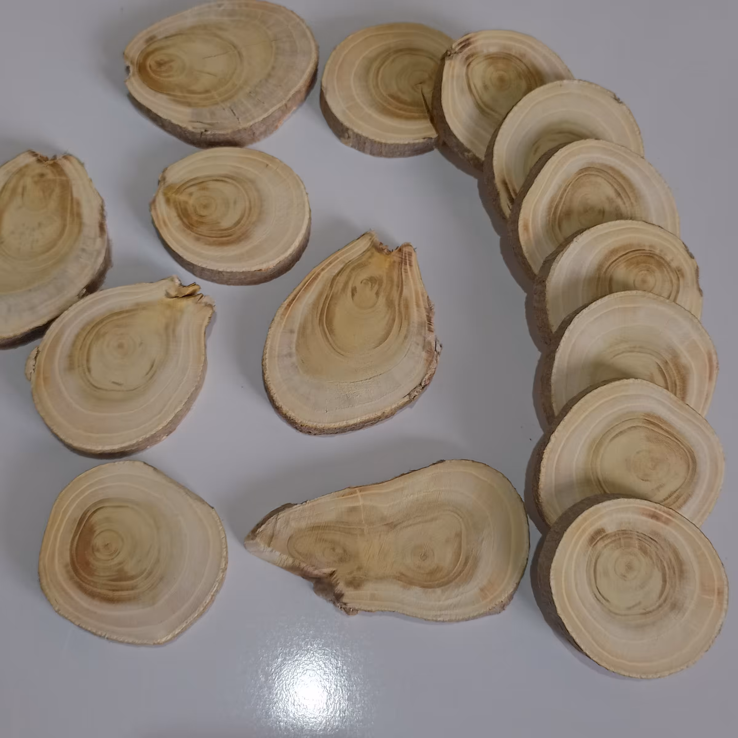 اسلایس برش کالباسی چوب  تنه درخت  قطر حدودی 5تا 7 سانت و ضخامت 9 میلی متر