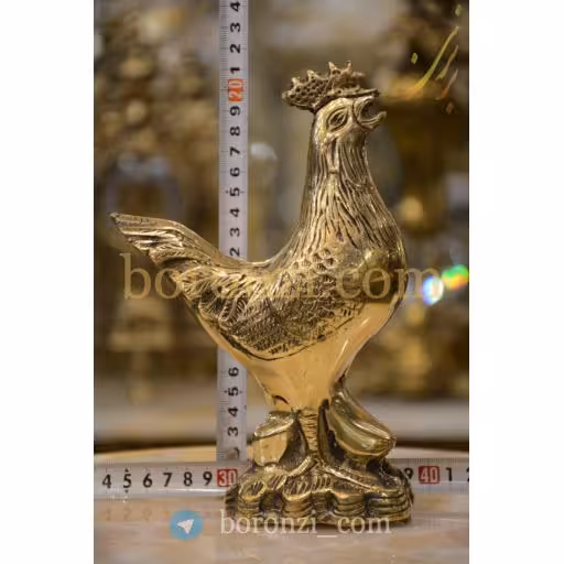 خروس برنزی بزرگ
