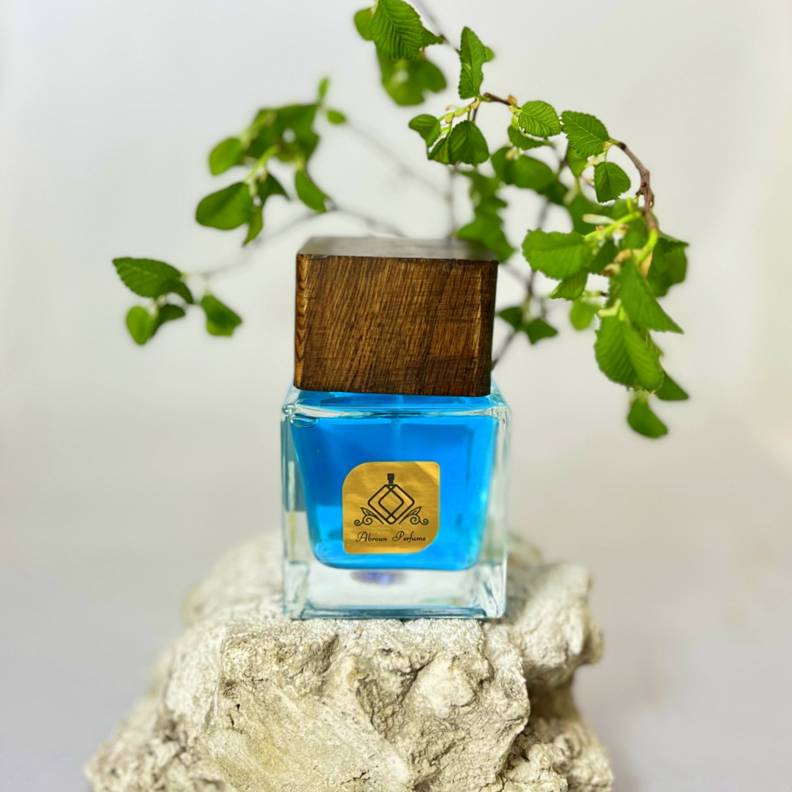 ادکلن عطر مردانه سیلور سنت بوگارت 100 میل