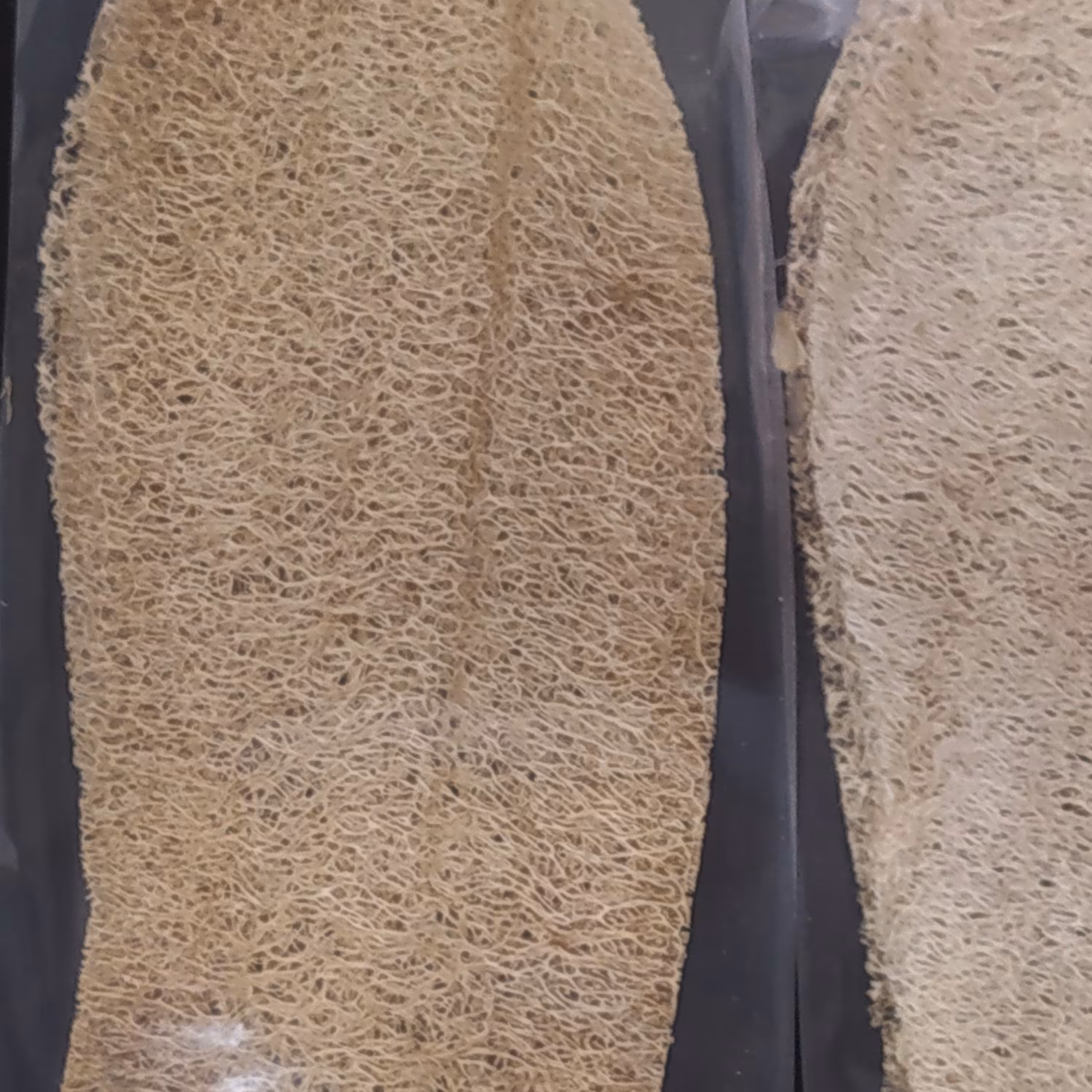 یک جفت کفی کفش لوفا 