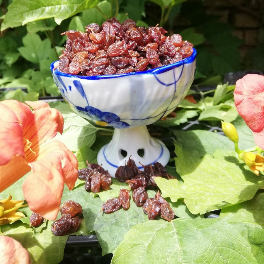 کشمش پلویی(افتابی صدرصد طبیعی) (1000گرمی) ارسال رایگان به سراسرکشور