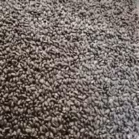 تخم شربتی درشت (سورت شده تمیز) وزن 200 گرم (پس کرایه)