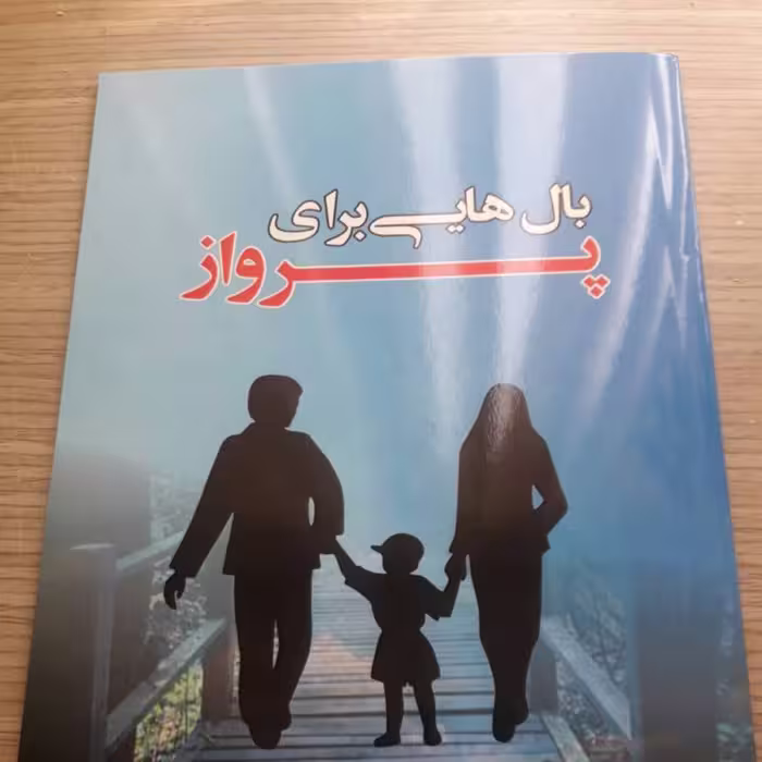 بال هایی برای پرواز 