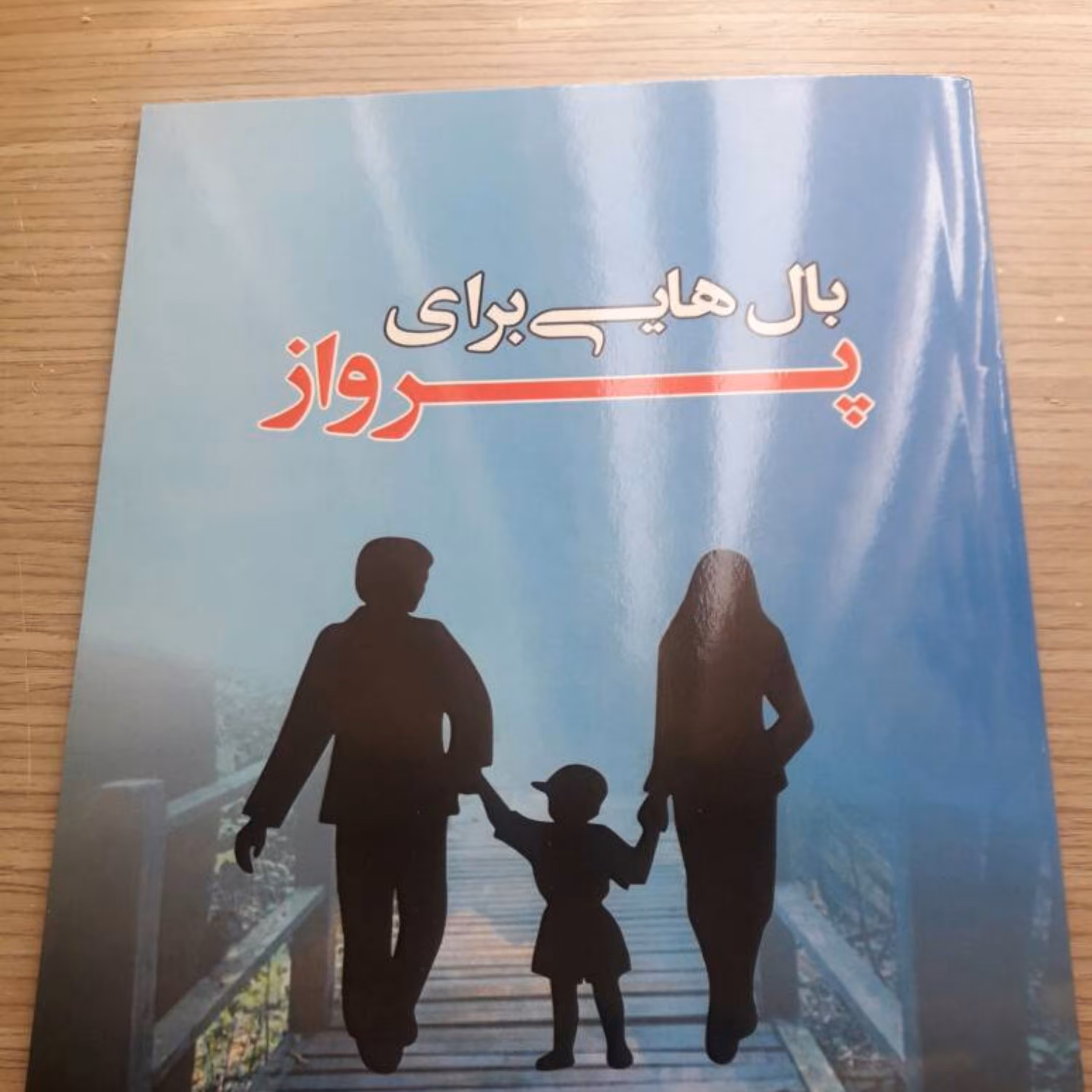بال هایی برای پرواز 