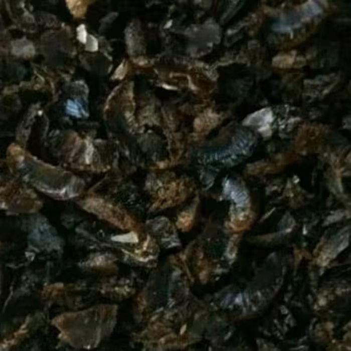 پر لیمو عمانی درجه یک صدگرمی الماس کویر