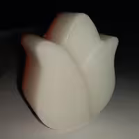 شمع گل لاله روز زن