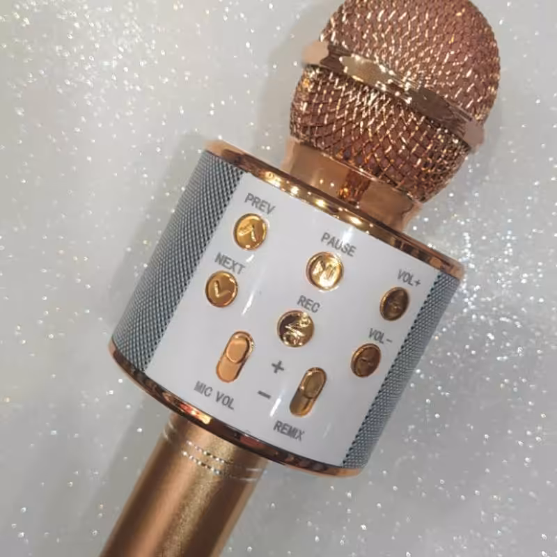 اسپیکر  بلندگو