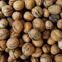 گردو پوست نازک ایرانی (یک کیلوگرم)