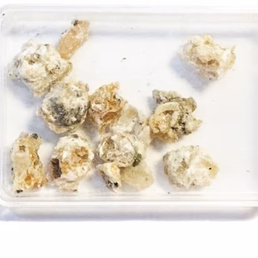 شیر خشت ،شیر خشت 2 گرمی 