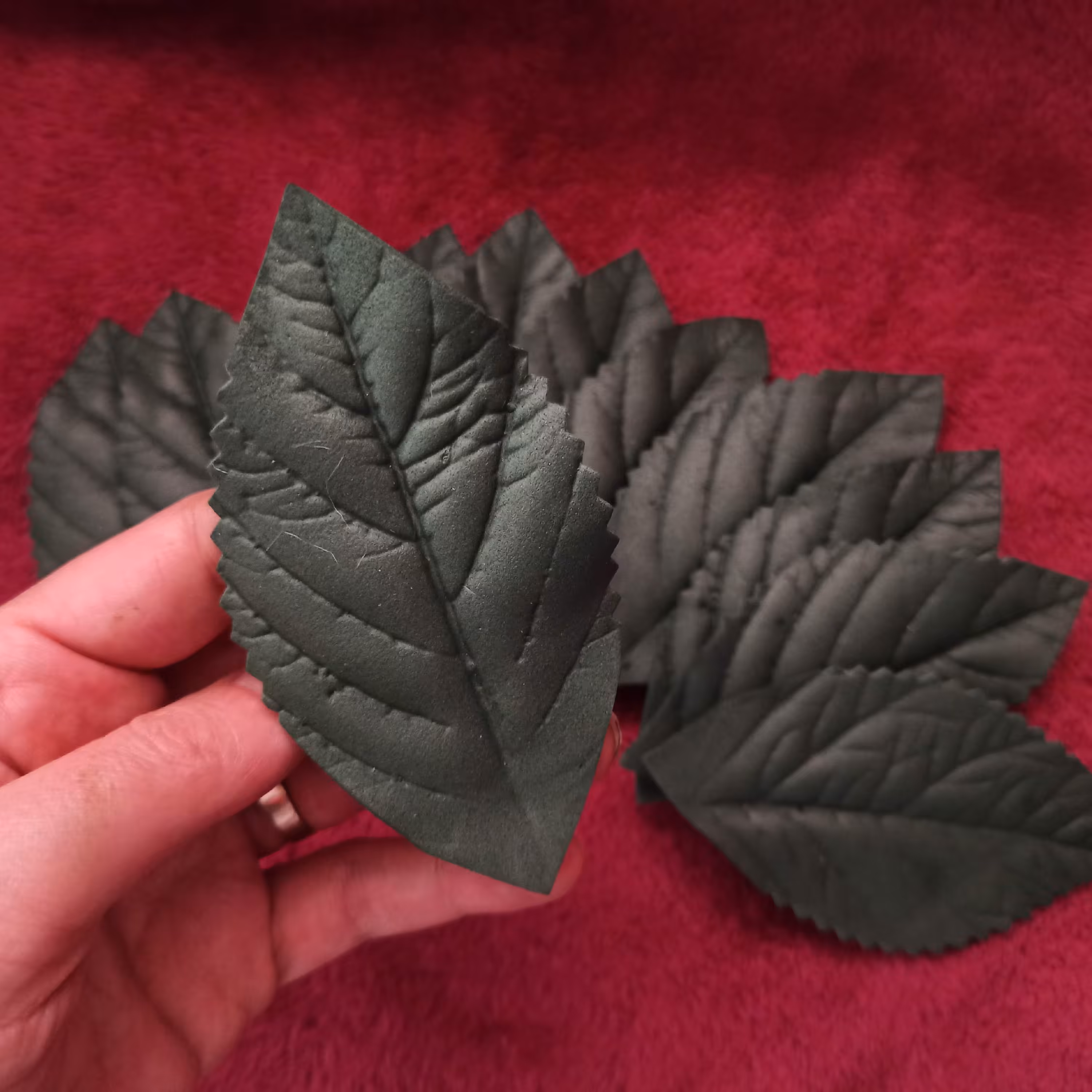 برگ فومی  بدون سیم (پک 12 عددی)