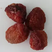 آلو خورشتی خشک ارگانیک با هسته بدونه پوست بسیار خوش طعم و گوشتی 