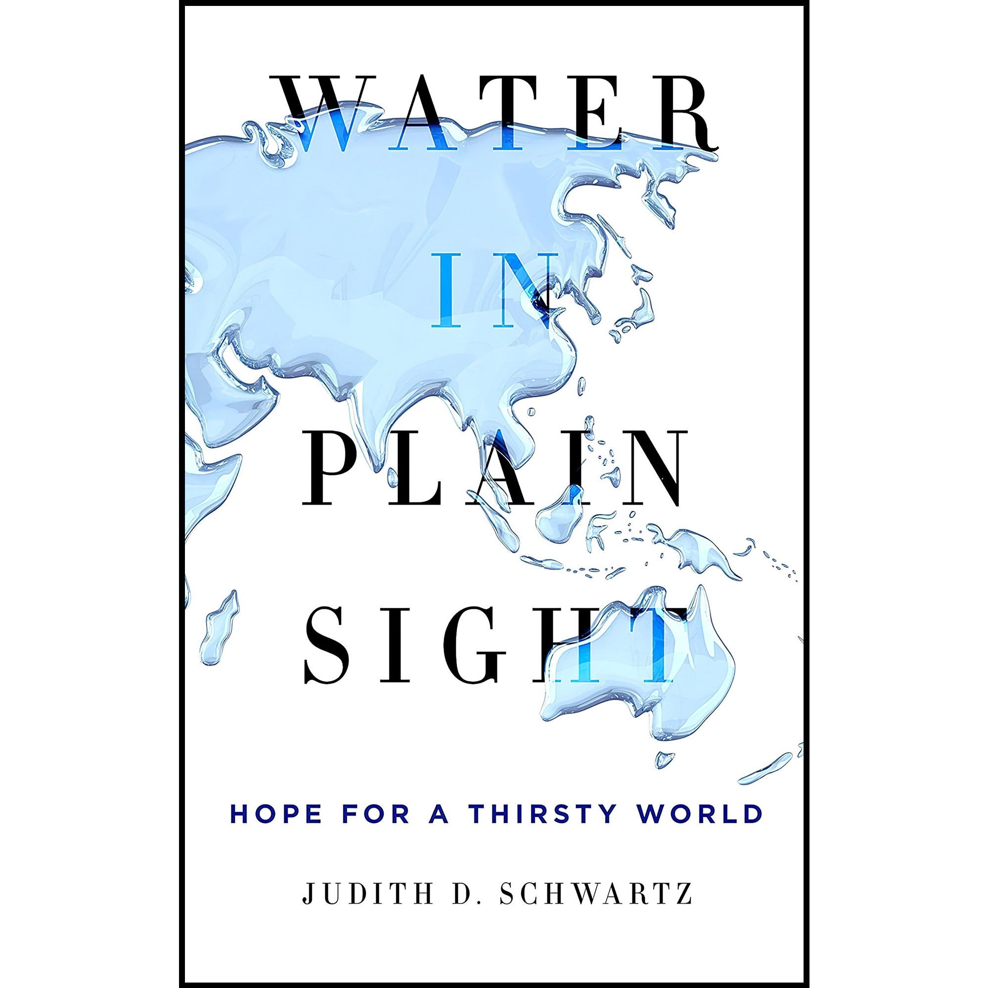 کتاب زبان اصلی Water in Plain Sight اثر Judith D Schwartz