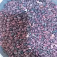 لوبیا قرمز بوجاری شده