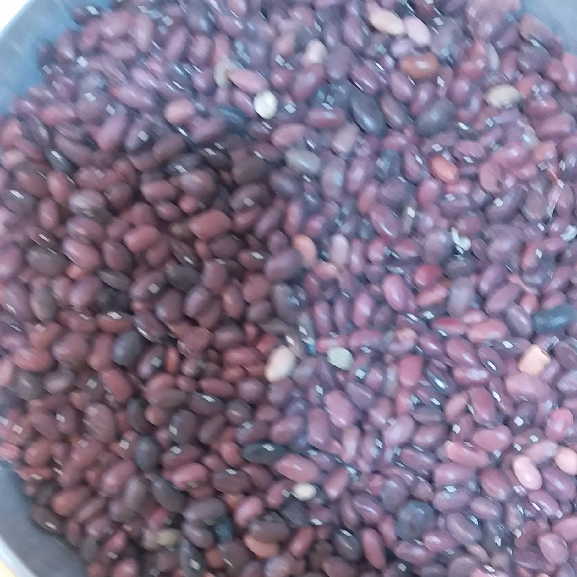 لوبیا قرمز بوجاری شده