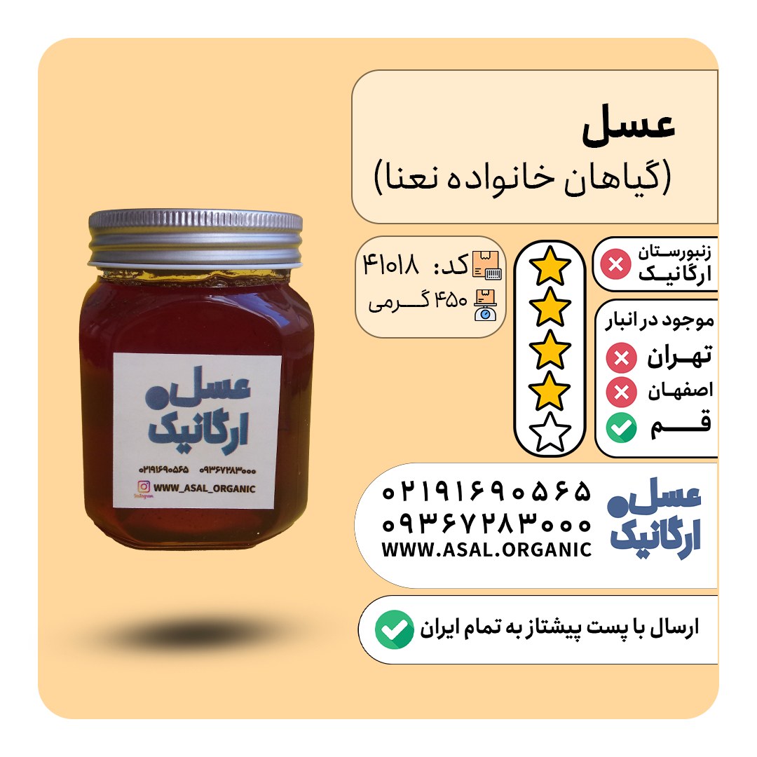 عسل نعنا وحشی 500 گرمی طعمی خاص و منحصر بفرد (بسیار کم یاب)