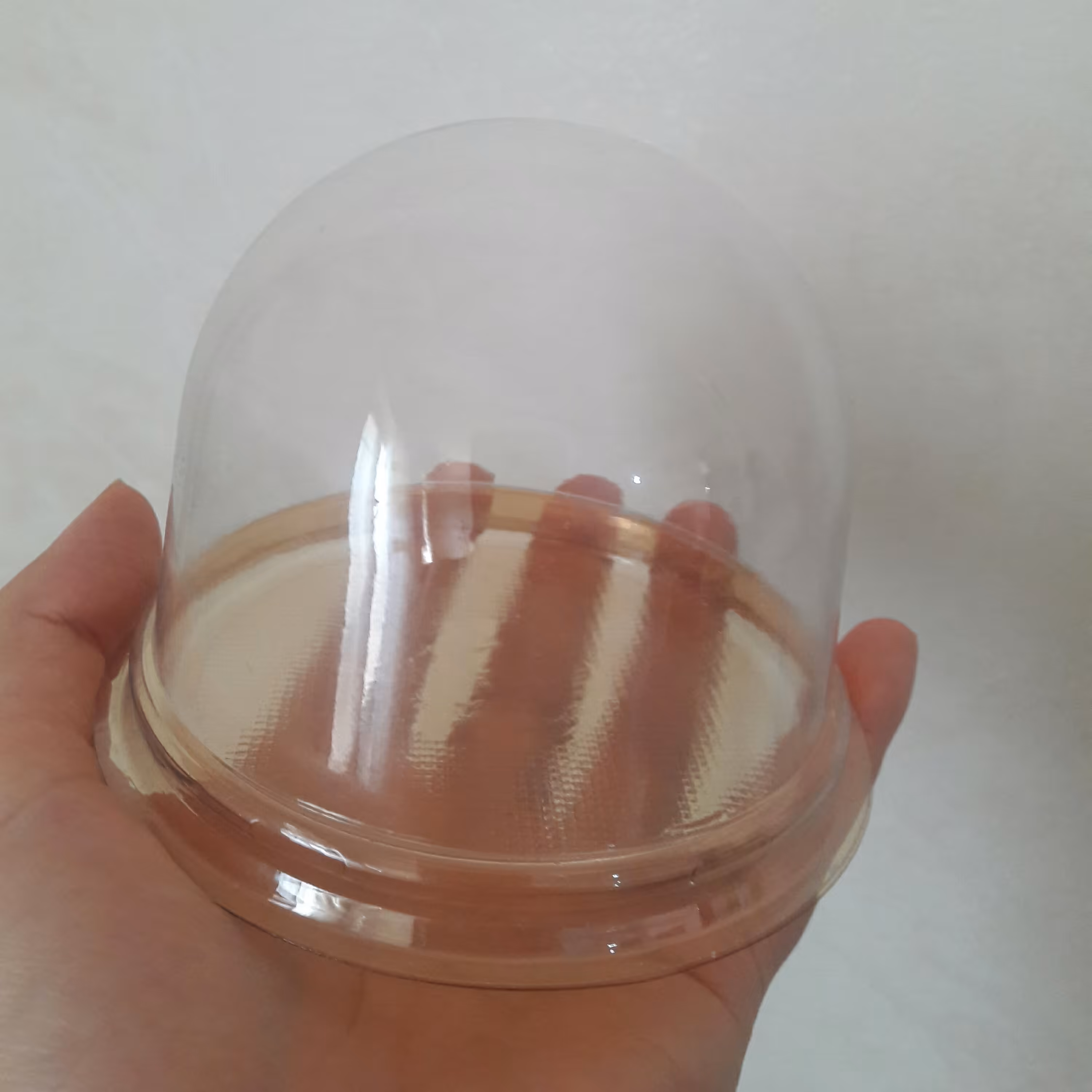 
ظرف دسری حبابی زیرطلایی 50 عددی
