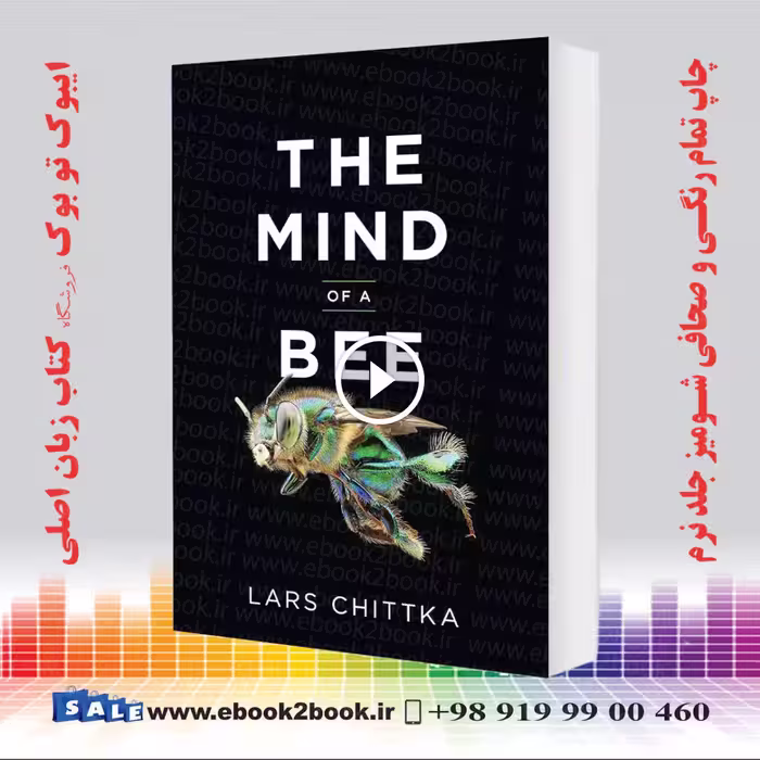 The Mind of a Bee
