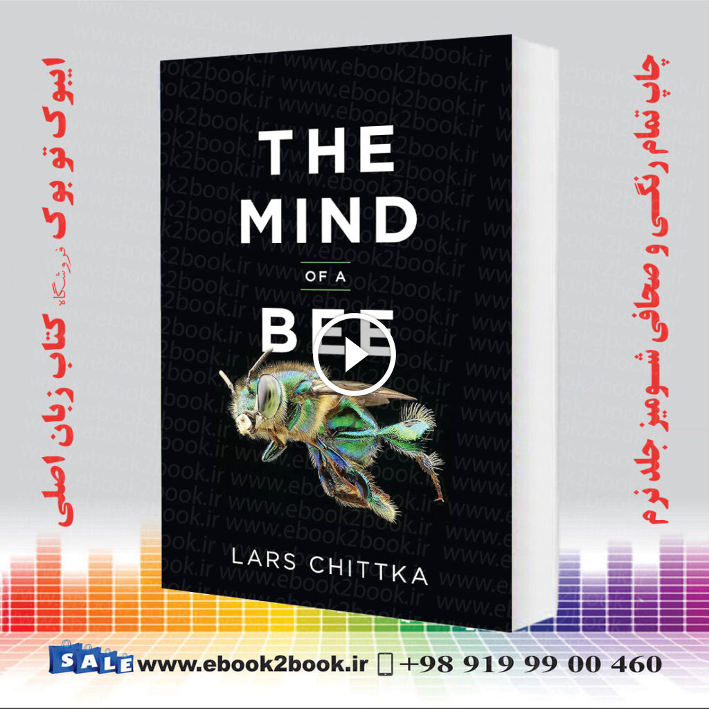 The Mind of a Bee