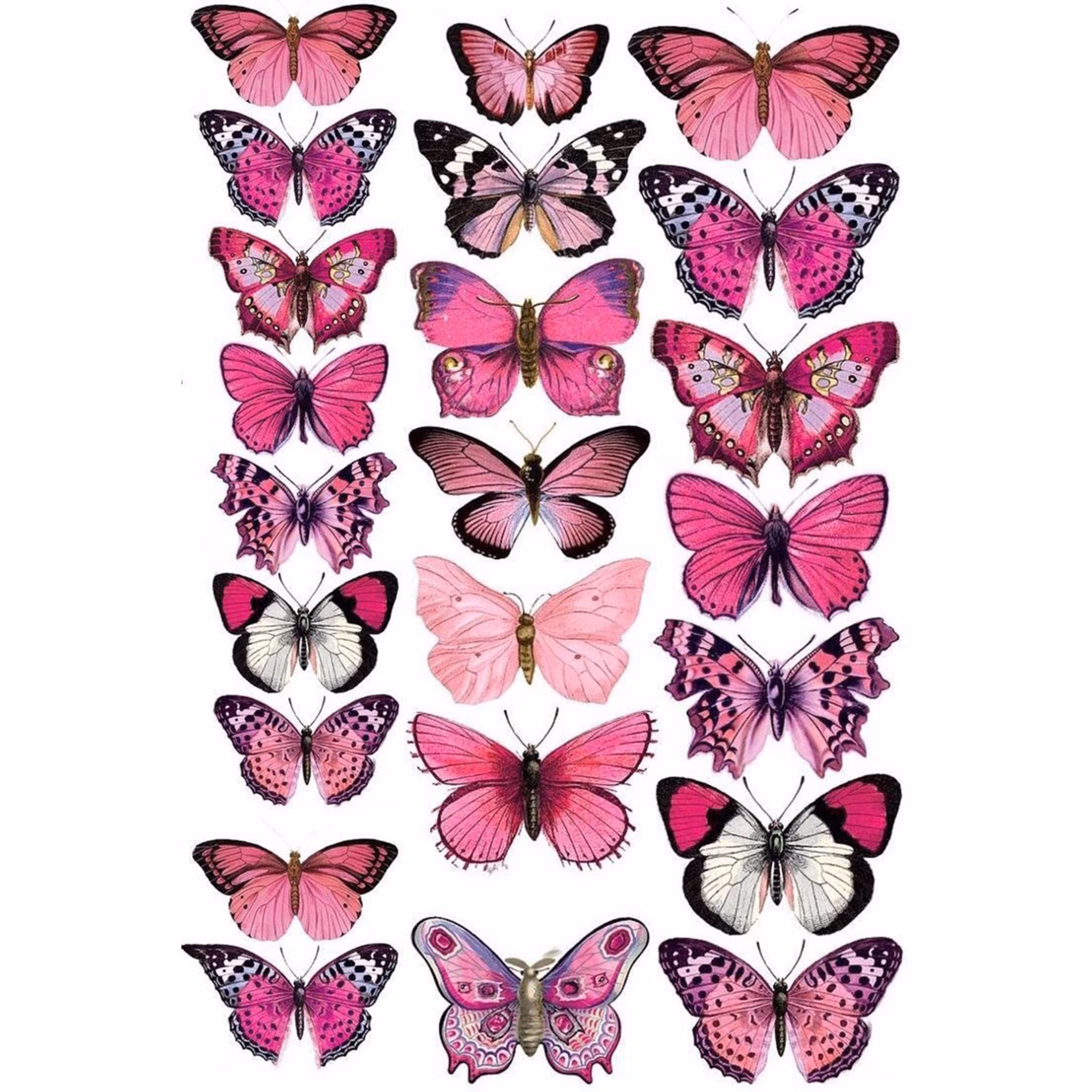 استیکر چسبی مات سایز آ5 مدل پروانه های صورتی
