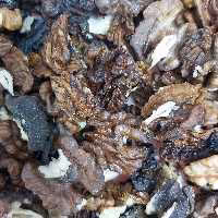 مغز گردو خورشتی و شیرینی پزی تویسرکان